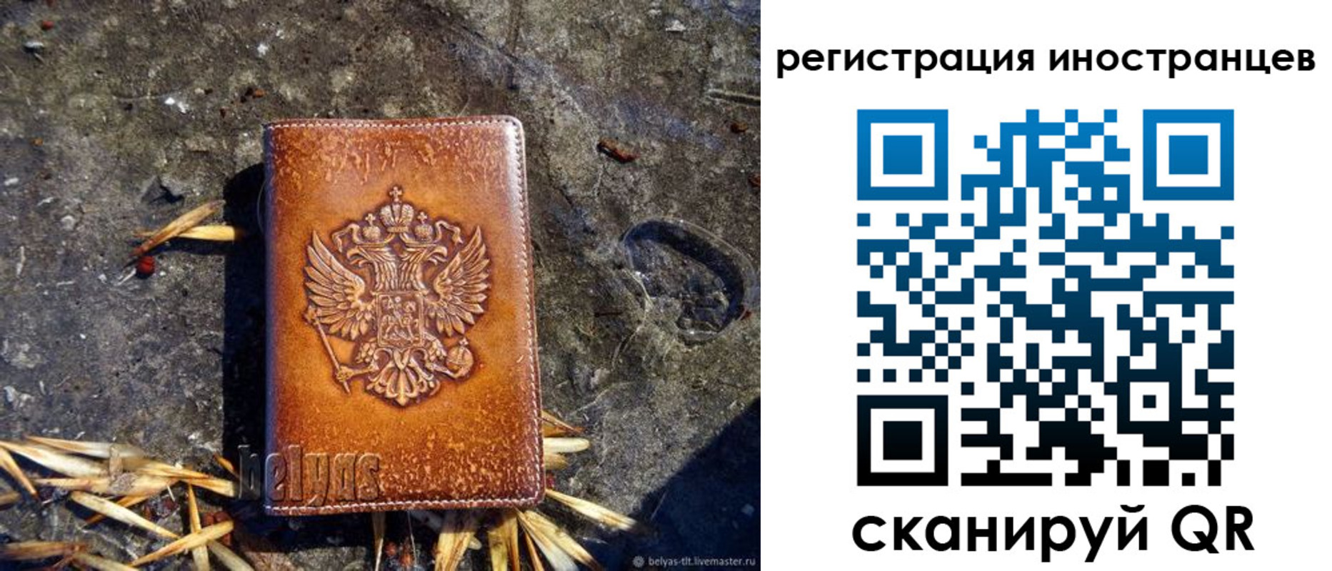прописка регистрация в Курганинске